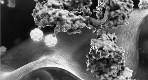 ADCs – Overcoming Analytical Challenges in Next-Gen Cancer Therapeutics